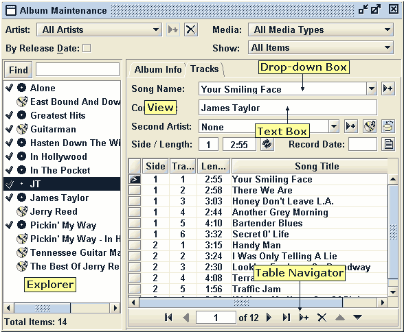 Explorer-view model